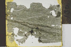 Plane Polarized, S27134