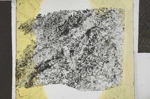 Plane Polarized, S27135