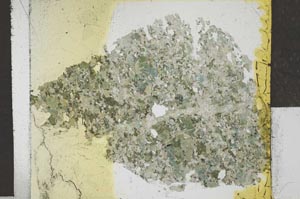 Plane Polarized, S27136