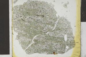 Plane Polarized, S27138