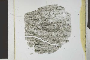 Plane Polarized, S27139