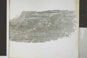 Plane Polarized, S27141