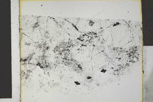 Plane Polarized, S27142