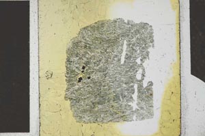 Plane Polarized, S27144