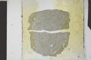 Plane Polarized, S27145