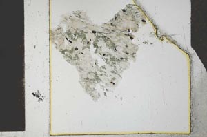 Plane Polarized, S27147