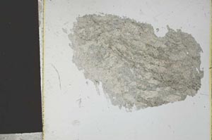 Plane Polarized, S27149
