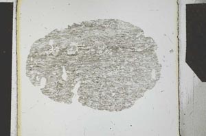 Plane Polarized, S27151