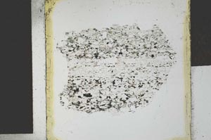 Plane Polarized, S27152