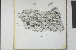 Plane Polarized, S27155