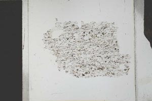 Plane Polarized, S27156