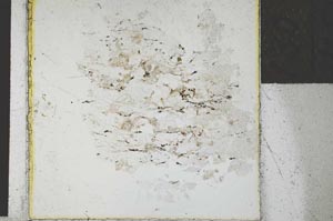 Plane Polarized, S27158