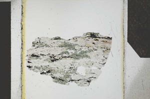 Plane Polarized, S27159