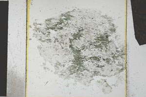 Plane Polarized, S27160