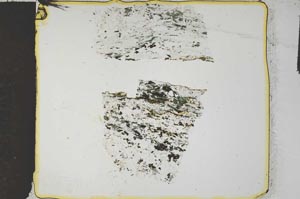 Plane Polarized, S27161