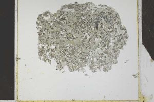Plane Polarized, S27162