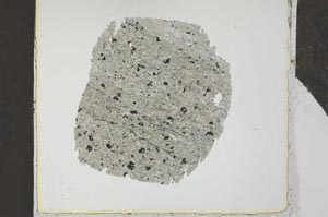 Plane Polarized, S27163