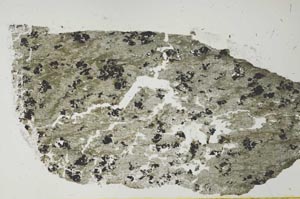 Plane Polarized, S27165