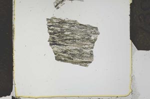 Plane Polarized, S27166