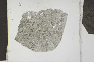 Plane Polarized, S27167