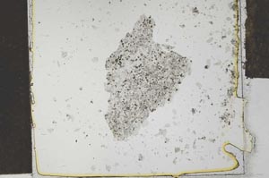 Plane Polarized, S27168