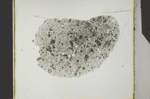Plane Polarized, S27184