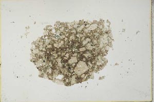 Plane Polarized, S27185