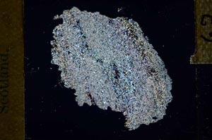 Cross Polarized, S27209