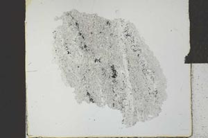 Plane Polarized, S27209