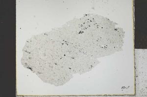 Plane Polarized, S27210