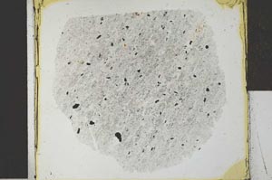 Plane Polarized, S27211