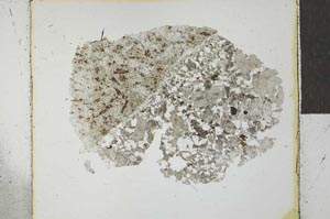 Plane Polarized, S27212