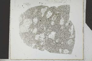 Plane Polarized, S27215