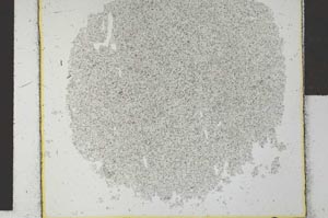 Plane Polarized, S27216