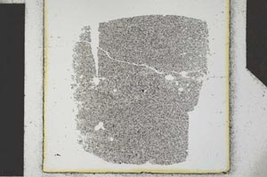 Plane Polarized, S27217