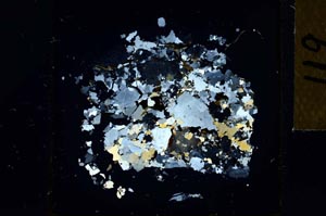 Cross Polarized, S27220