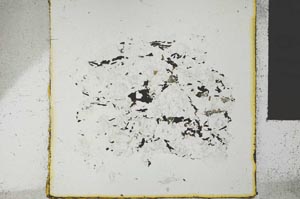 Plane Polarized, S27220