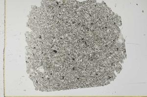 Plane Polarized, S27223