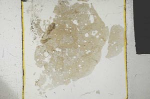 Plane Polarized, S27224