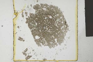 Plane Polarized, S27226