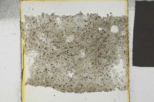 Plane Polarized, S27227