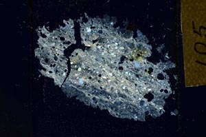 Cross Polarized, S27229