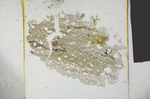 Plane Polarized, S27229