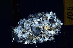 Cross Polarized, S27231