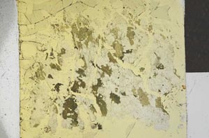 Plane Polarized, S27242