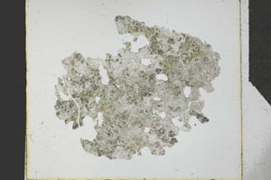 Plane Polarized, S27244
