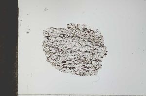 Plane Polarized, S27249