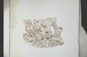 Plane Polarized, S27252