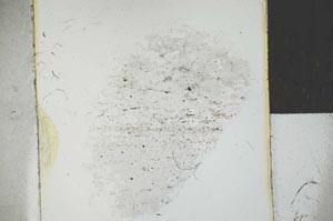 Plane Polarized, S27254