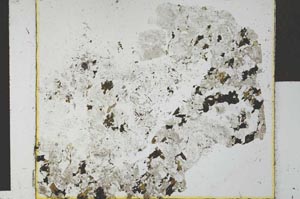 Plane Polarized, S27256